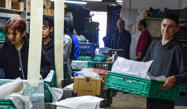 Antalya Toptancı Hali’nden günde 3 bin ton sevkiyat: 64 ülkeye ihracat yapılıyor