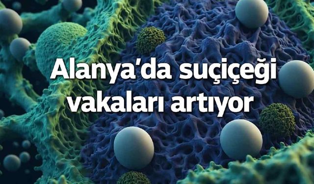 Alanya'da suçiçeği vakaları artıyor
