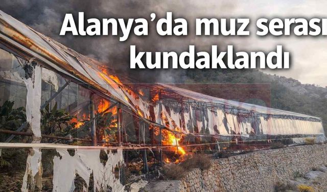 Alanya’da muz serası kundaklandı