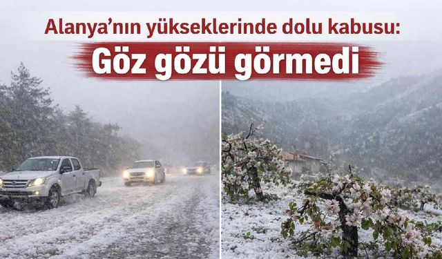 Alanya’nın yükseklerinde dolu kabusu: Göz gözü görmedi