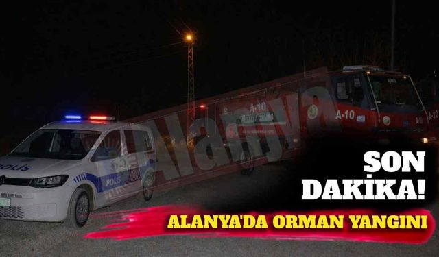 Son dakika! Alanya'da orman yangını