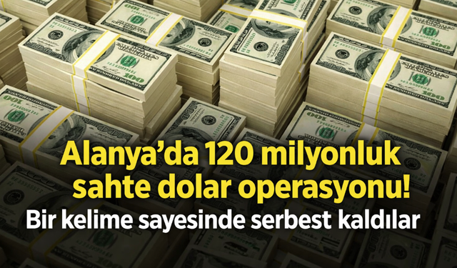 Alanya'da 120 milyonluk sahte dolar operasyonu! Bir kelime sayesinde serbest kaldılar