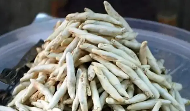 Konya dağlarında 4 bin yıllık hazine: 10 bin liraya satılıyor - Konya Haberleri