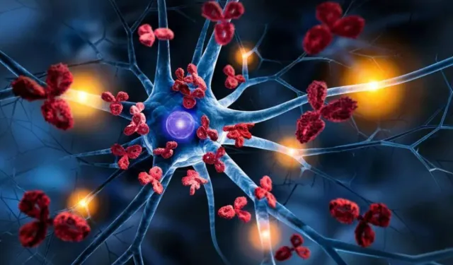 D Vitamini ile Alzheimer arasında dikkat çeken bağlantı