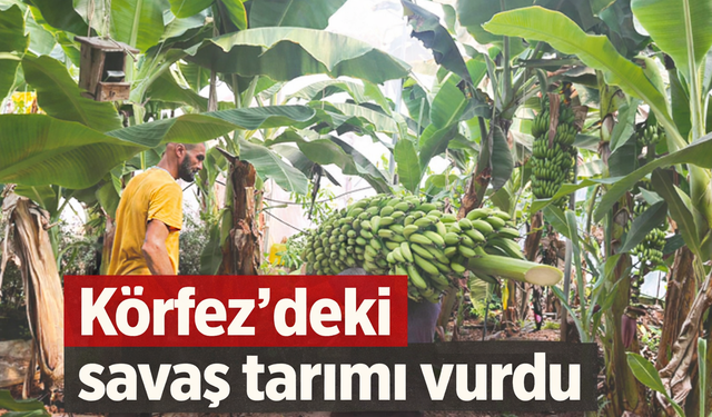 Körfez’deki savaş tarımı vurdu: Gübre ve enerji maliyetleri Alanyalı üreticiyi zorluyor