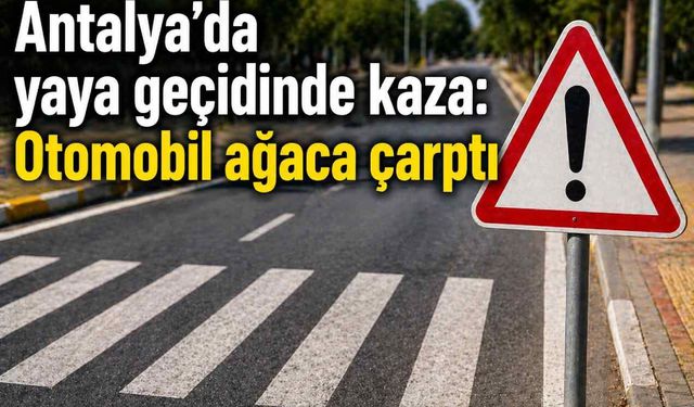 Antalya’da yaya geçidinde kaza: Otomobil ağaca çarptı