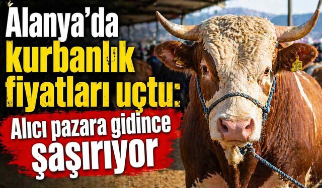 Alanya’da kurbanlık fiyatları uçtu: Alıcı pazara gidince şaşırıyor