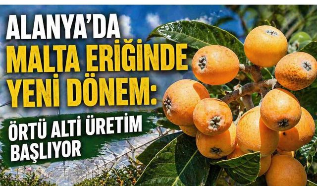 Alanya’da malta eriğinde yeni dönem: Örtü altı üretim başlıyor