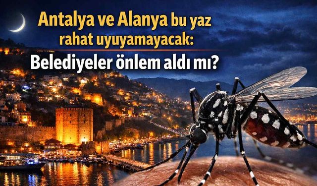 Alanya’da da risk büyüyor: Antalya genelinde sivrisinek tehdidi kapıda