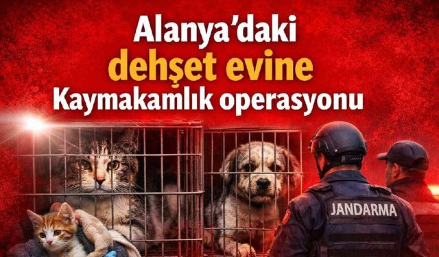 Alanya'daki dehşet evine Kaymakamlık operasyonu