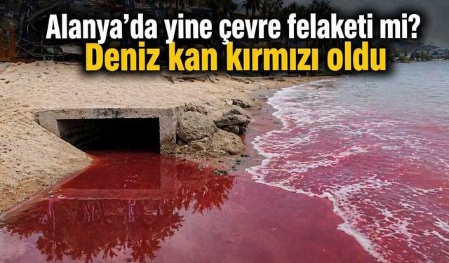Alanya'da yine çevre felaketi mi? Deniz kan kırmızı oldu