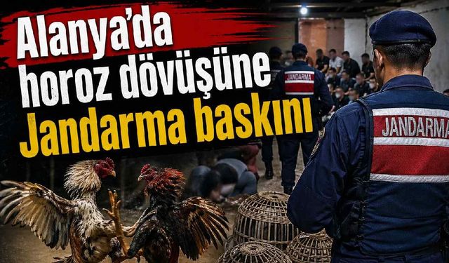Alanya'da horoz dövüşüne Jandarma baskını