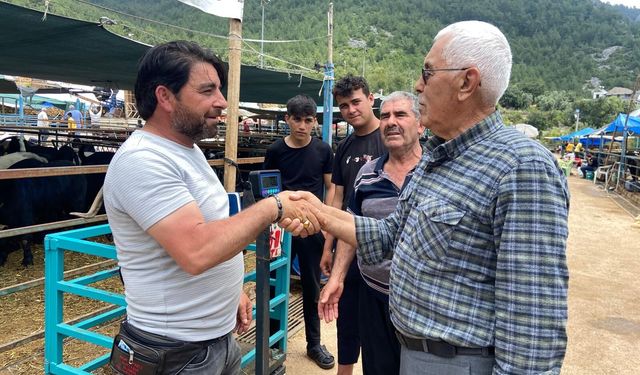 Alanya’da Kurban Pazarı hareketlendi: Satıcılar umduğunu bulamadı