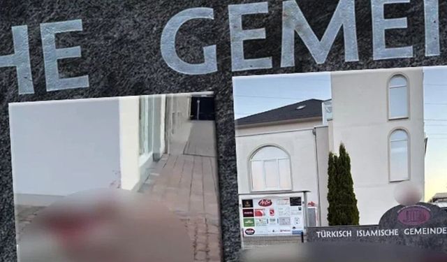 Almanya'da DİTİB camisine domuz başlı saldırı