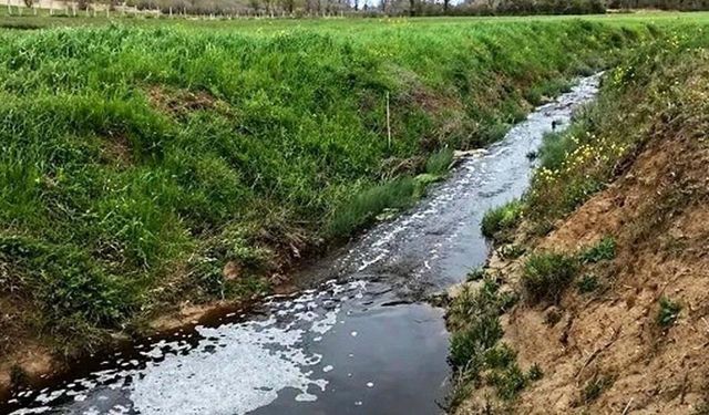 Sinop'ta atık tesisine 1.6 milyon lira çevre cezası kesildi