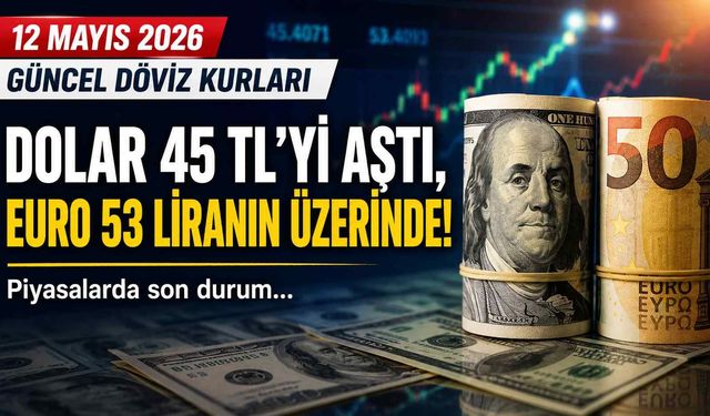 12 Mayıs 2026 Güncel Döviz Kurları