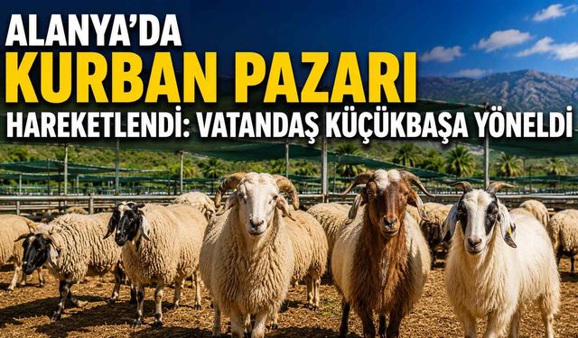 Alanya’da kurban pazarı hareketlendi: Vatandaş küçükbaşa yöneldi