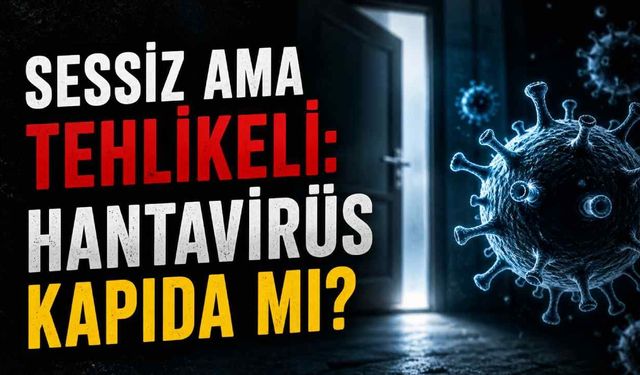 Sessiz ama tehlikeli: Hantavirüs kapıda mı?
