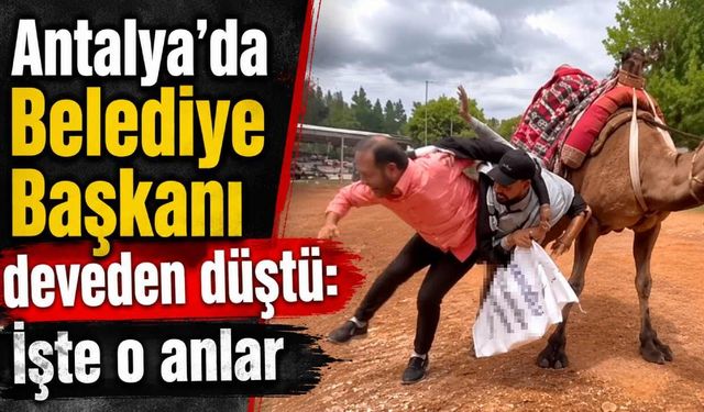 Antalya'da Belediye Başkanı deveden düştü: İşte o anlar