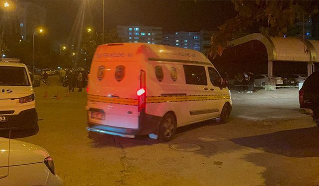 Kavgayı ayırmak isteyen anne öldü, oğlu yaralandı