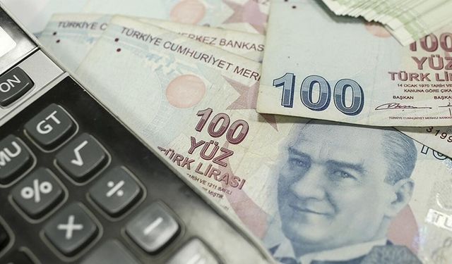 Çiftçilere 165 milyon liralık destek ödemesi başladı