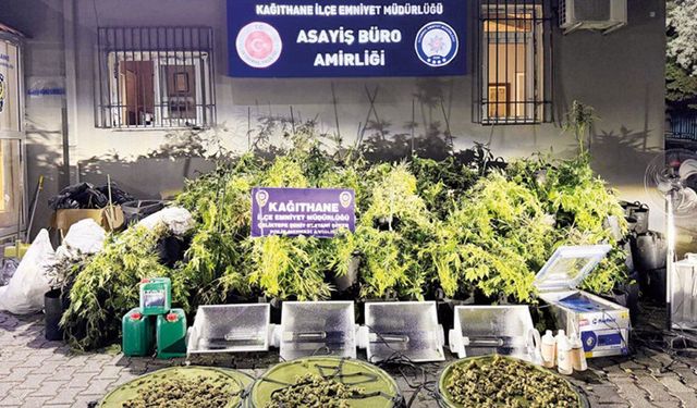 30 milyon liralık uyuşturucu serasına koku operasyonu