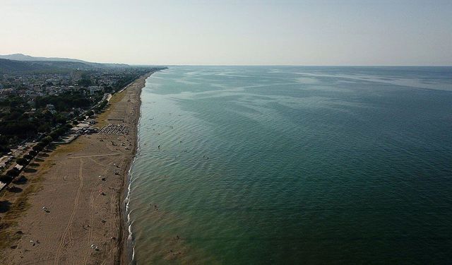 Sinop sahillerinde binlerce denizanası karaya vurdu