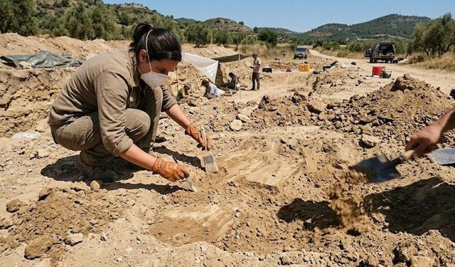 İspanya'da 15,9 milyon yıllık ayı köpeği fosili bulundu