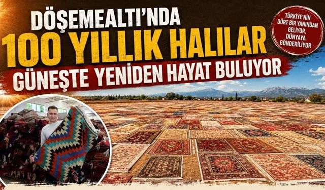 Döşemealtı'nda asırlık halılar güneş tarlalarına seriliyor