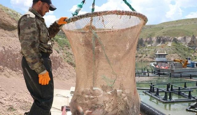 Denizi olmayan Kayseri'den 49 ülkeye somon ihracatı