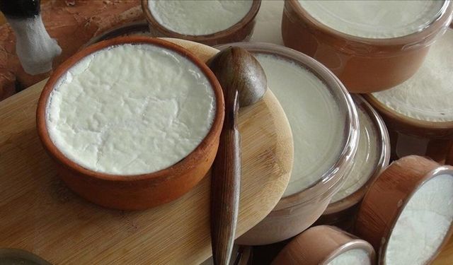 Kemik ve kas sağlığı için günde bir kase yoğurt tüketimi
