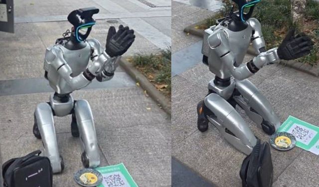 Çin'de 13 bin dolarlık insansı robot sokakta dilendi
