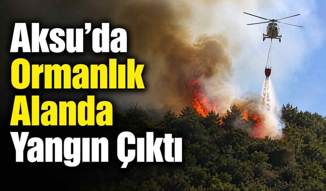 Aksu'da ormanlık alanda yangın çıktı