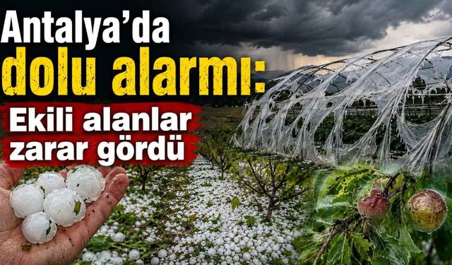 Antalya'da dolu alarmı: Ekili alanlar zarar gördü