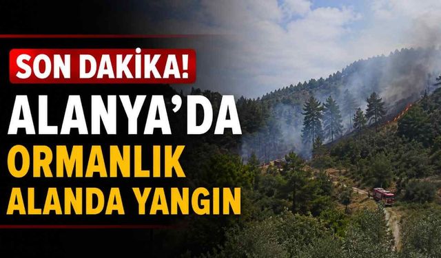 Son Dakika! Alanya'da ormanlık alanda yangın