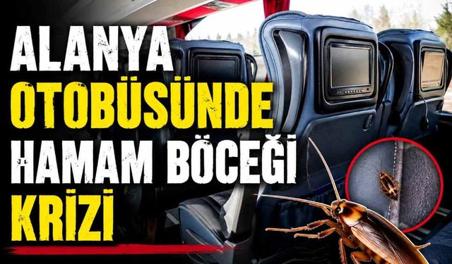 Alanya otobüsünde hamam böceği krizi