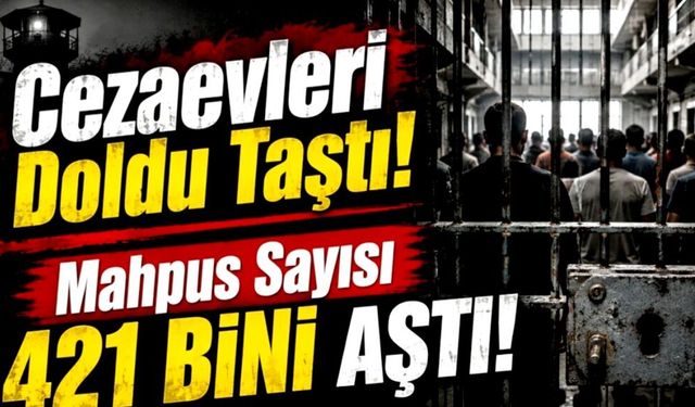 HEGEM uyarmıştı: Yılın ilk yarısında suç oranları tırmandı