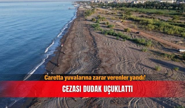 Antalya'da carettalara zarar vermenin cezası 699 bin TL