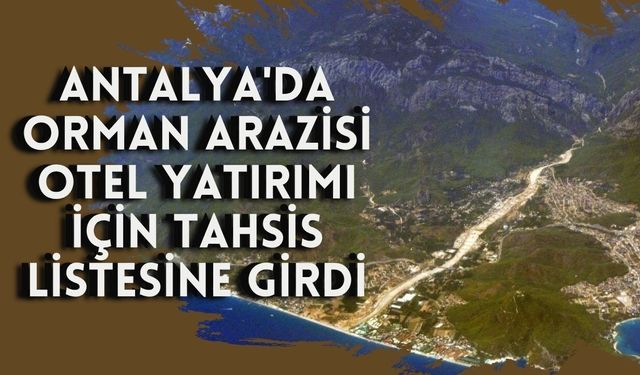 Kemer'de orman arazisi otel yatırımı için tahsise açıldı