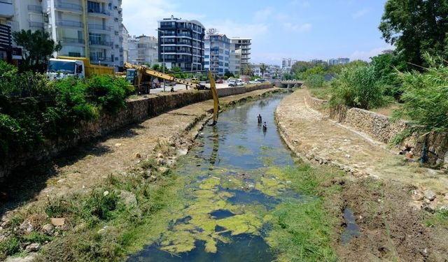 Konyaaltı'nda taşkın ve sineğe karşı dere temizliği