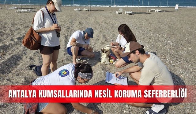 Manavgat kumsallarında caretta caretta nöbeti sonuç verdi