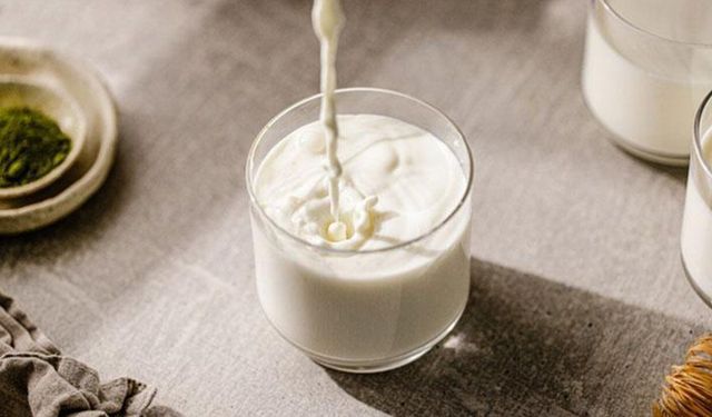 Keçi ve inek sütü farkları: Hassas mideler için tavsiyeler