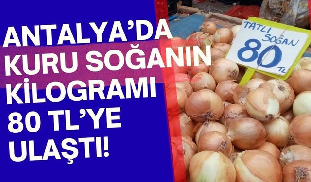 Muratpaşa'da kuru soğan 80, kırmızı soğan 150 lirayı gördü
