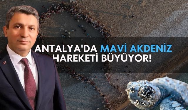 Kemer Çıralı'da caretta caretta yavruları denizle buluştu