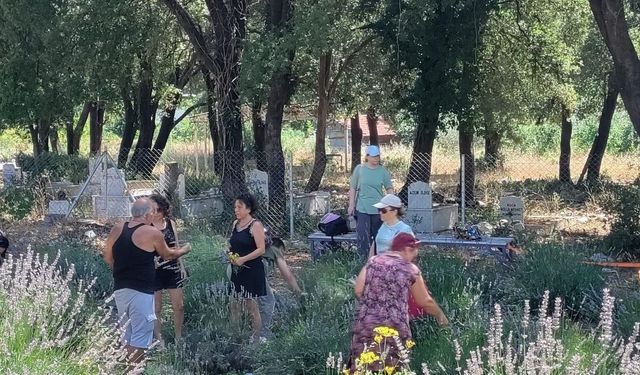 Kemer'deki lavanta bahçesi ziyaretçilerini ağırlıyor
