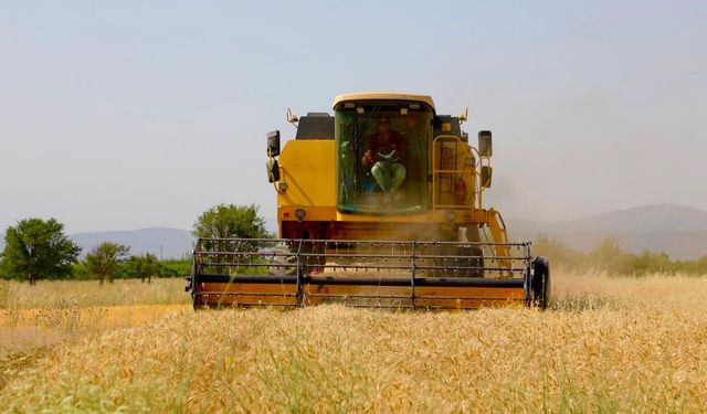 Korkuteli'de atıl araziler ucuz ekmek için üretime açıldı
