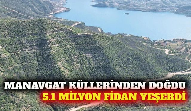 Manavgat yangınının izleri 5.1 milyon fidanla silindi