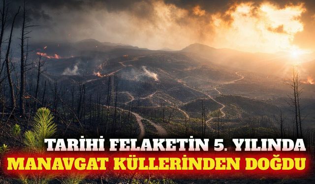 Manavgat yangınının 5. yılında 60 bin hektar alan yeşerdi