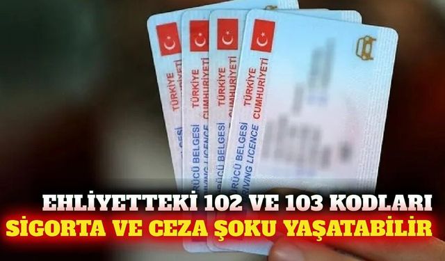 Ehliyetteki 102 ve 103 kodları ceza ve sigorta riski taşıyor