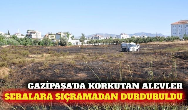 Gazipaşa'daki otluk yangını seralara sıçramadan söndürüldü